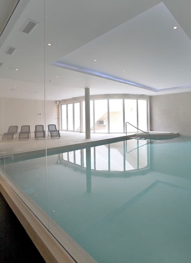 Basement pool spa design
